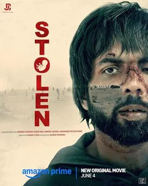 Stolen 2025 Hindi WEB-DL | Hindi Dubbed Movie
