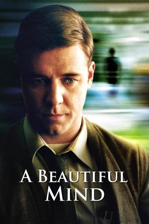 A Beautiful Mind 2001 Hindi Dual Audio | Hindi Dubbed Movie BluRay [1.2GB]