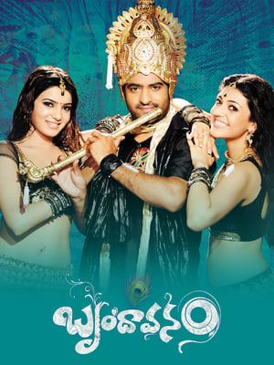 Brindavanam (The Super Khiladi) (2010) (Hindi – Telugu) Dual Audio | Hindi Dubbed Movie UnCut HDRip [1.4GB]
