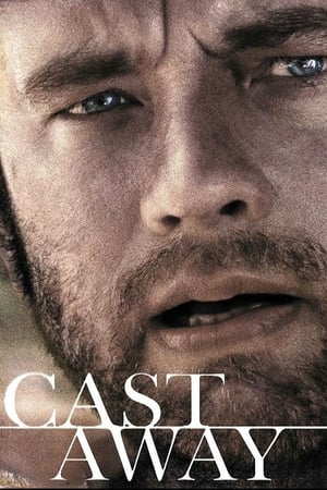 Cast Away 2000 Hindi Dual Audio | Hindi Dubbed Movie BluRay [1GB] ESubs