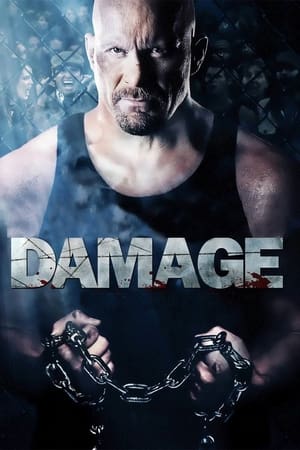 Damage 2009 Hindi Dual Audio | Hindi Dubbed Movie BluRay [970MB]