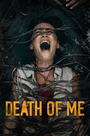 Death of Me (2020) Hindi Dual Audio | Hindi Dubbed Movie HDRip [900MB]