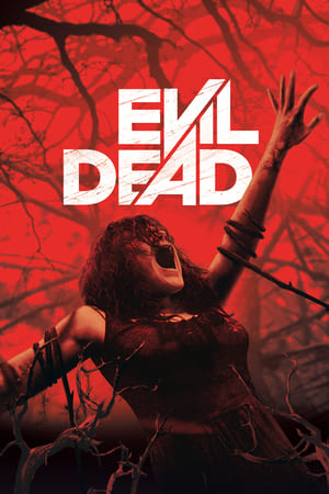 Evil Dead 2013 Hindi Dual Audio | Hindi Dubbed Movie BluRay [760MB]