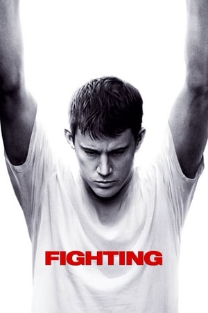 Fighting (2009) Hindi Dual Audio | Hindi Dubbed Movie BluRay 450MB