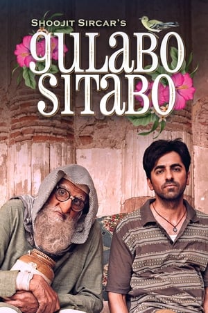 Gulabo Sitabo 2020 Hindi Movie | Hindi Dubbed Movie HDRip x264 [980MB]