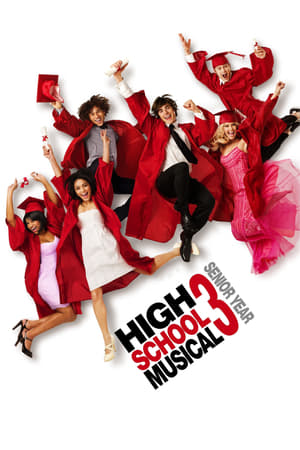 High School Musical 3 (2008) Hindi Dual Audio | Hindi Dubbed Movie BluRay [950MB]