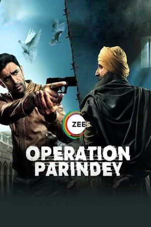Operation Parindey 2020 Hindi Movie | Hindi Dubbed Movie HDRip x264 [500MB]