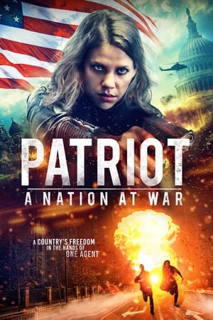 Patriot A Nation at War 2020 Hindi Dual Audio | Hindi Dubbed Movie Web-DL 300MB