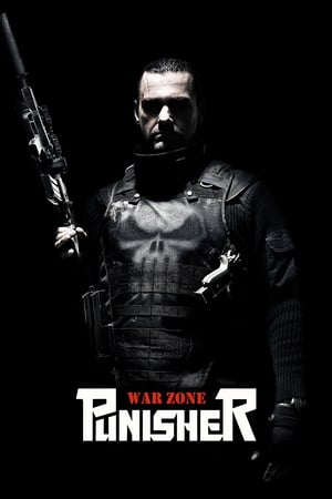 Punisher: War Zone (2008) Hindi Dual Audio | Hindi Dubbed Movie BluRay [880MB]
