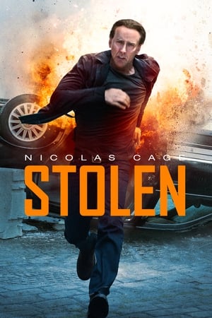 Stolen (2012) Hindi Dual Audio | Hindi Dubbed Movie BluRay 300MB ESubs