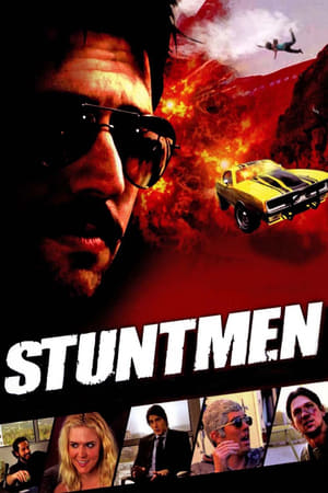 Stuntmen 2009 Hindi Dual Audio | Hindi Dubbed Movie WebRip 300MB