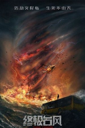 Super Typhoon 2020 Hindi Dual Audio HDRip | Hindi Dubbed Movie – 480p