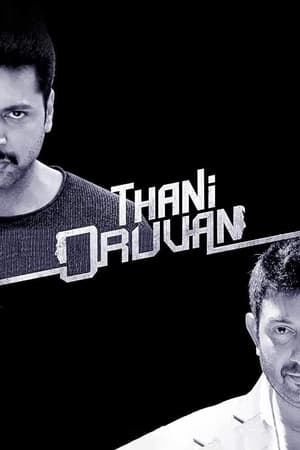 Thani Oruvan 2015 Hindi - Tamil Dubbed HDRip | Hindi Dubbed Movie [1.5GB] Download