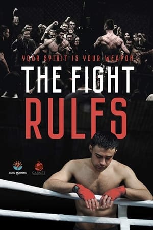 The Fight Rules 2017 Hindi Dual Audio | Hindi Dubbed Movie WebRip [730MB]
