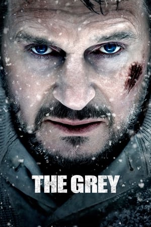 The Grey 2011 Hindi Dual Audio | Hindi Dubbed Movie BluRay 360MB