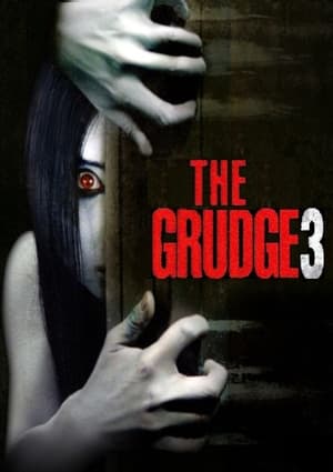 The Grudge 3 2009 Hindi Dual Audio | Hindi Dubbed Movie Web-DL [890MB]