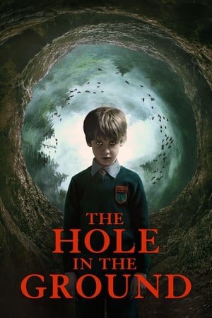 The Hole in the Ground 2019 Hindi Dual Audio | Hindi Dubbed Movie BluRay [830MB]