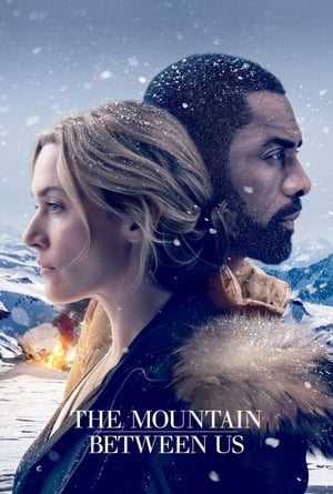 The Mountain Between Us 2017 Dual Audio Hindi | Hindi Dubbed Movie Bluray [1GB]