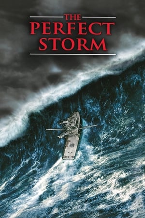 The Perfect Storm (2000) Hindi Dual Audio | Hindi Dubbed Movie HDRip [1.2GB]