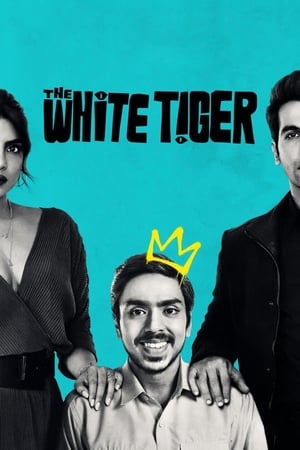 The White Tiger (2021) Hindi Movie | Hindi Dubbed Movie HDRip – [370MB]