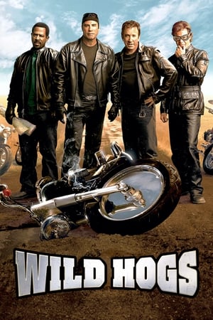 Wild Hogs (2007) Hindi Dual Audio | Hindi Dubbed Movie BluRay [750MB]